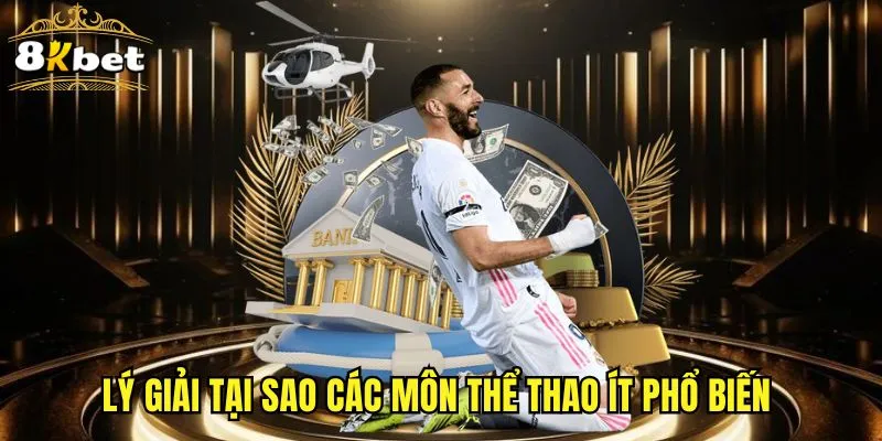 Lý giải tại sao các môn thể thao ít phổ biến 