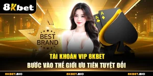 Tài khoản VIP 8KBET – Bước vào thế giới ưu tiên tuyệt đối