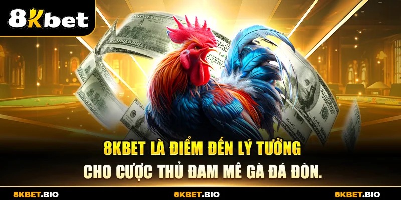 8KBET là điểm đến lý tưởng cho cược thủ đam mê gà đá đòn.