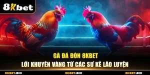 Gà Đá Đòn 8KBET – Lời Khuyên Vàng Từ Các Sư Kê Lão Luyện