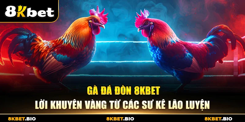 Gà Đá Đòn 8KBET – Lời Khuyên Vàng Từ Các Sư Kê Lão Luyện