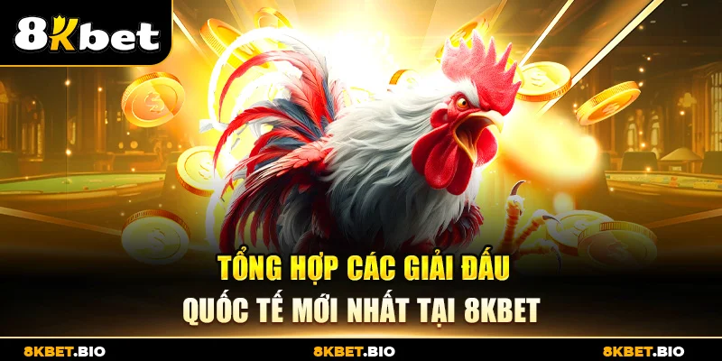 Tổng hợp các giải đấu quốc tế mới nhất tại 8KBET