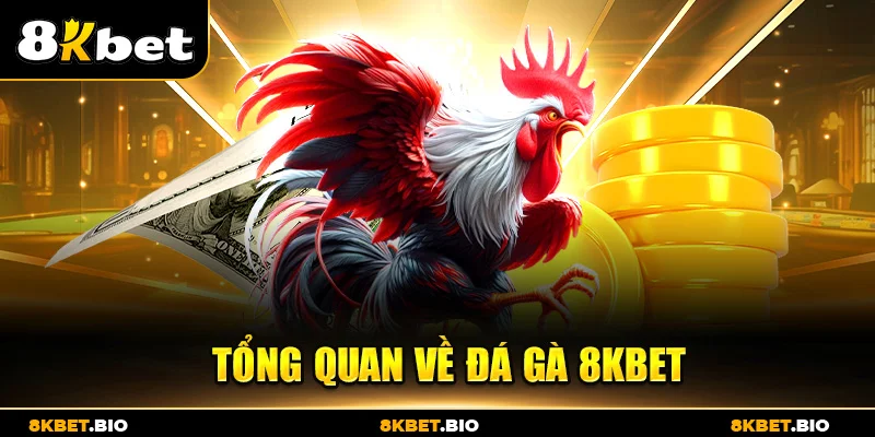 Tổng quan về đá gà 8KBET